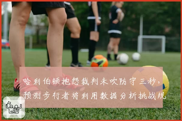 哈利伯顿抱怨裁判未吹防守三秒,预测步行者将利用数据分析挑战规则