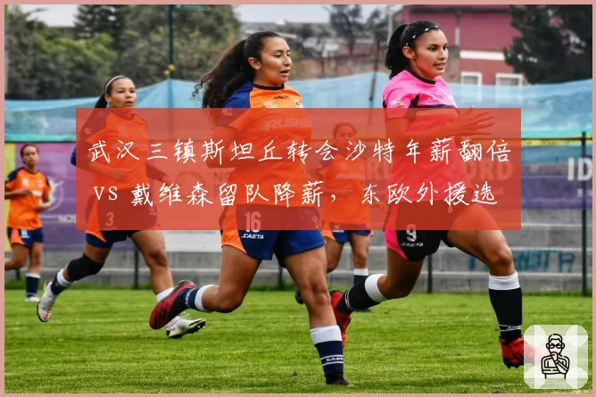 武汉三镇斯坦丘转会沙特年薪翻倍 vs 戴维森留队降薪,东欧外援选择分化